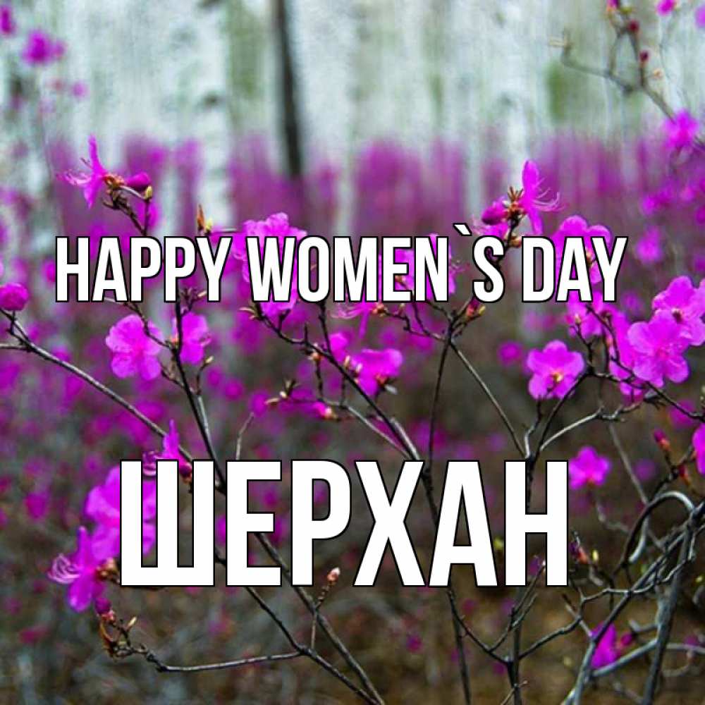 Greetings card с именем, ШЕРХАН happy women`s day дикие цветы Greetings with text for free download 
